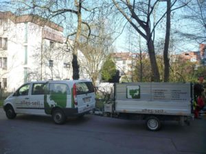 verkehrssicherung-naturdenkmal-linde